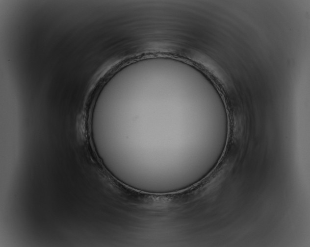 X0000100770878200806191239