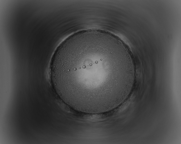 X0000100770879200806191239