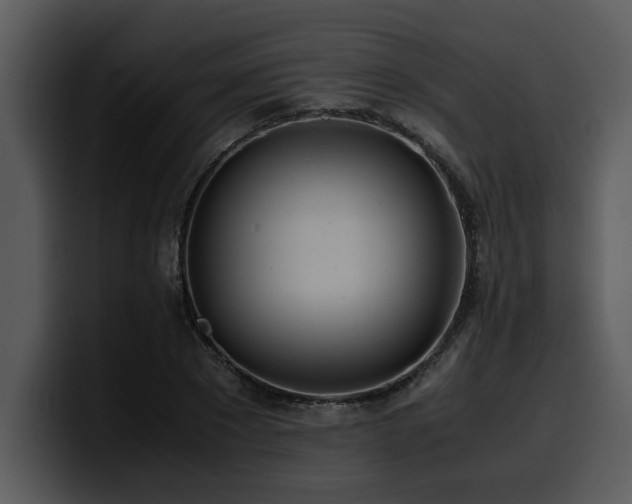 X0000100770881200806191239