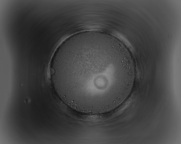 X0000100770883200806191239