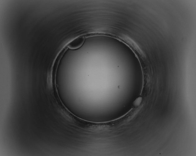 X0000100770884200806191239