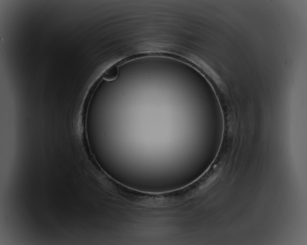 X0000100770885200806191239