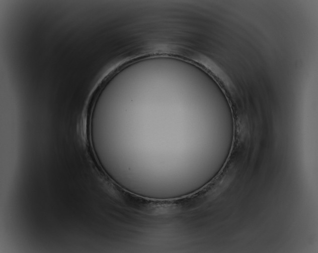 X0000100770886200806191239