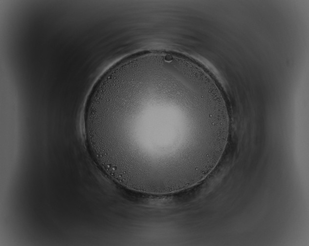 X0000100770887200806191239