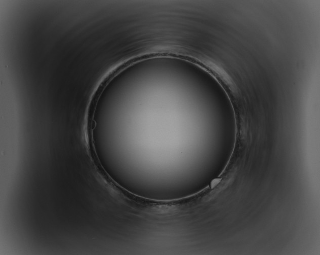 X0000100770888200806191239