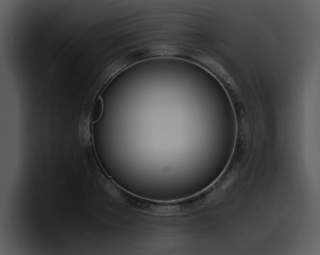 X0000100770889200806191239