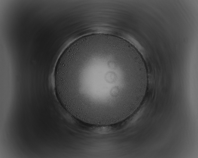 X0000100770891200806191239