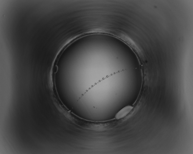 X0000100770892200806191239