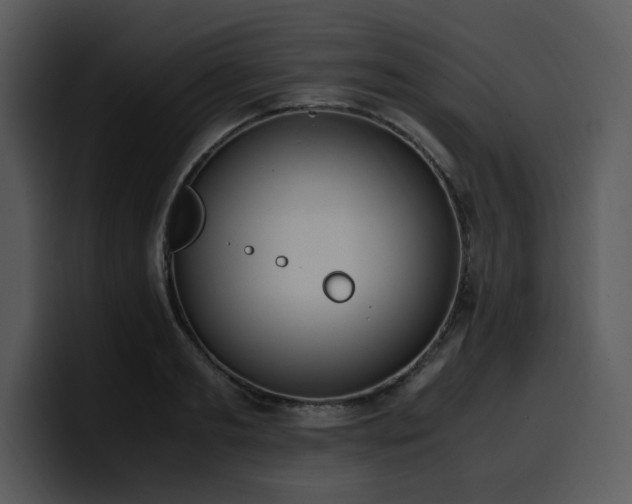 X0000100770893200806191239