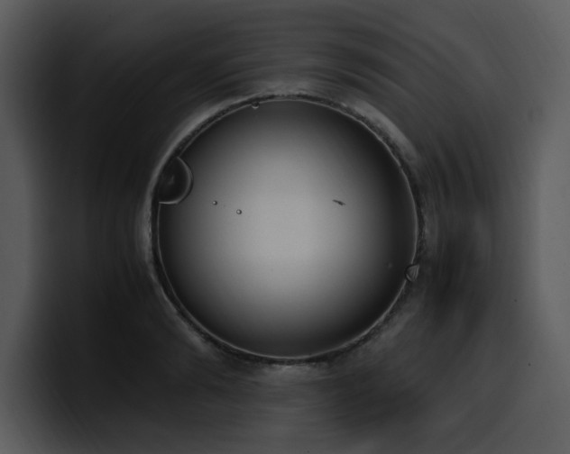X0000100770894200806191239