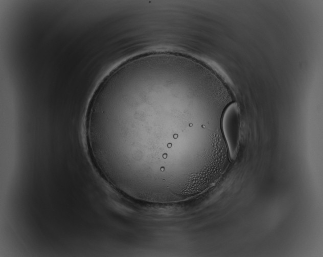 X0000100770895200806191239