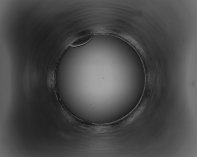 X0000100770897200806191239
