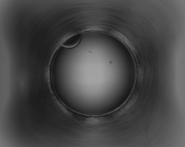 X0000100770898200806191239