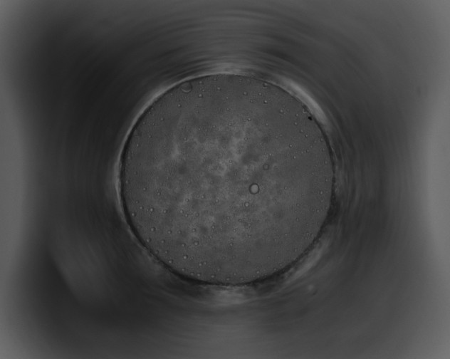 X0000100770899200806191239