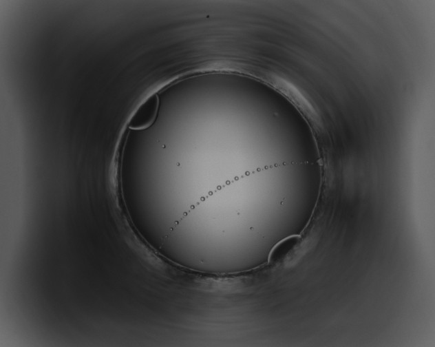 X0000100770900200806191239