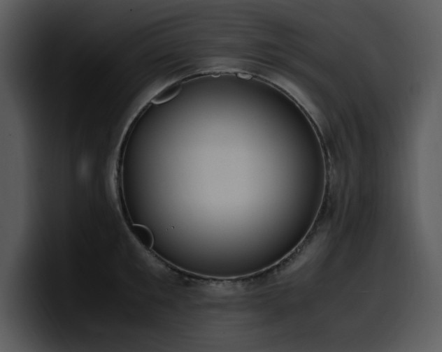 X0000100770901200806191238