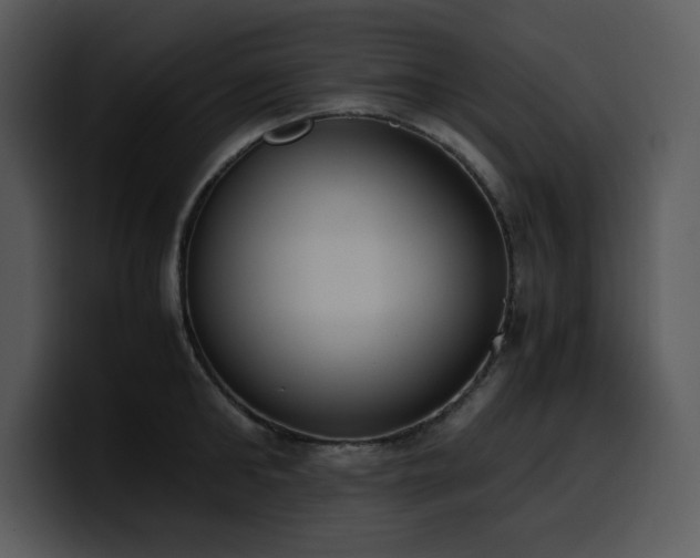 X0000100770902200806191238