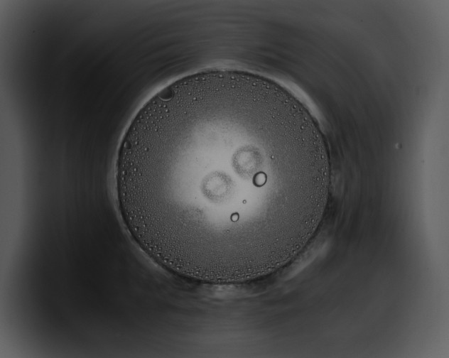 X0000100770903200806191238