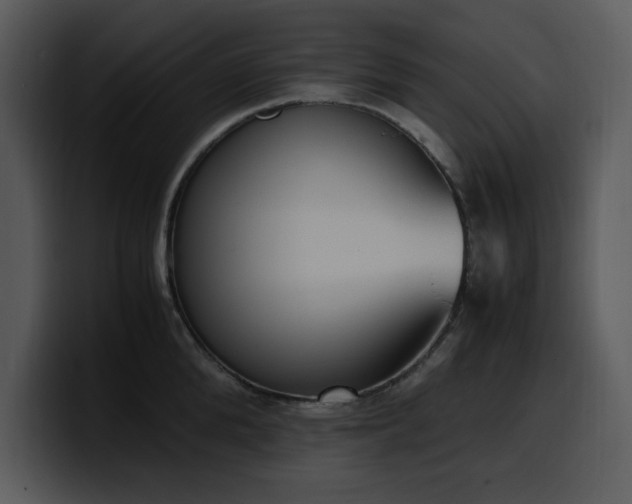 X0000100770904200806191238