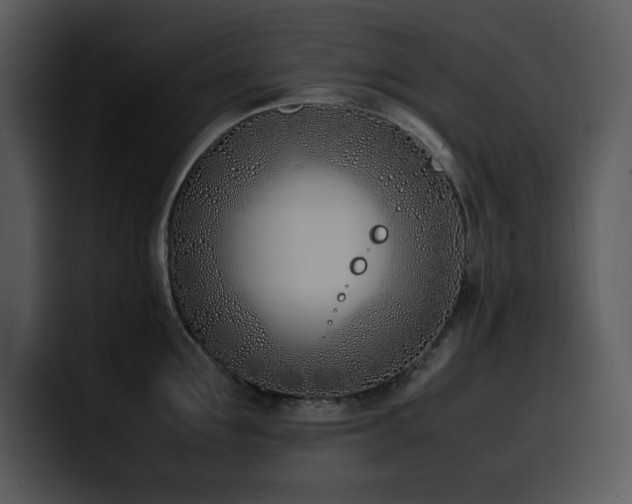 X0000100770907200806191238