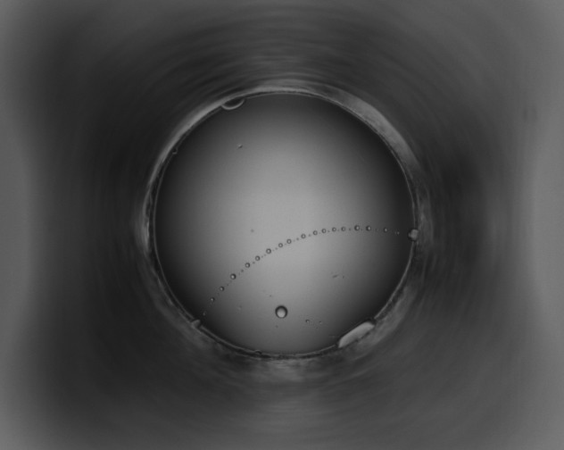X0000100770908200806191238