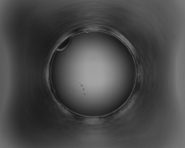 X0000100770909200806191238