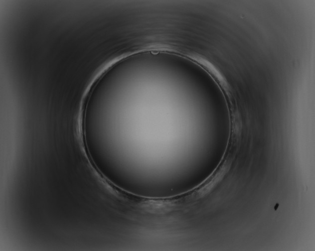 X0000100770910200806191238