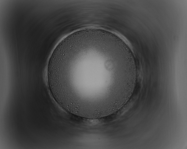 X0000100770911200806191238