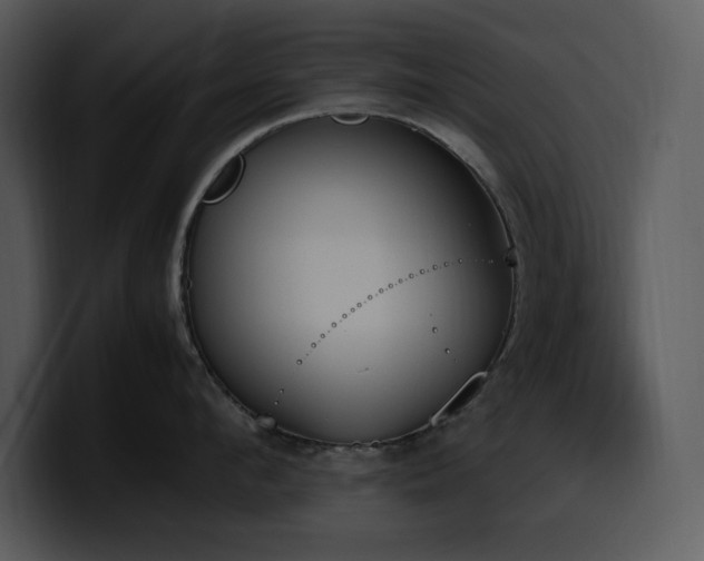 X0000100770912200806191238