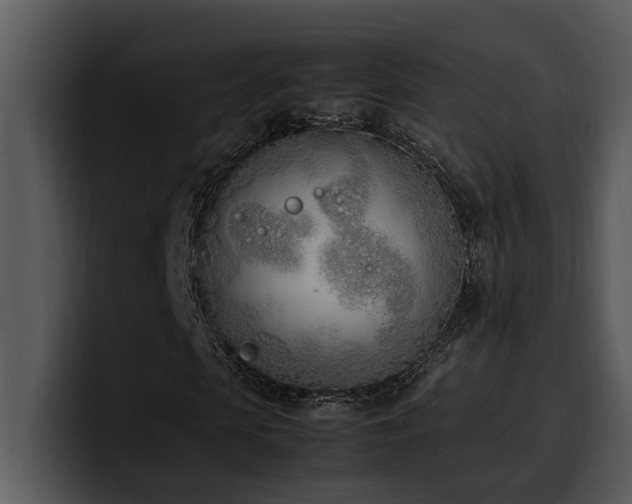 X0000100770913200806191238