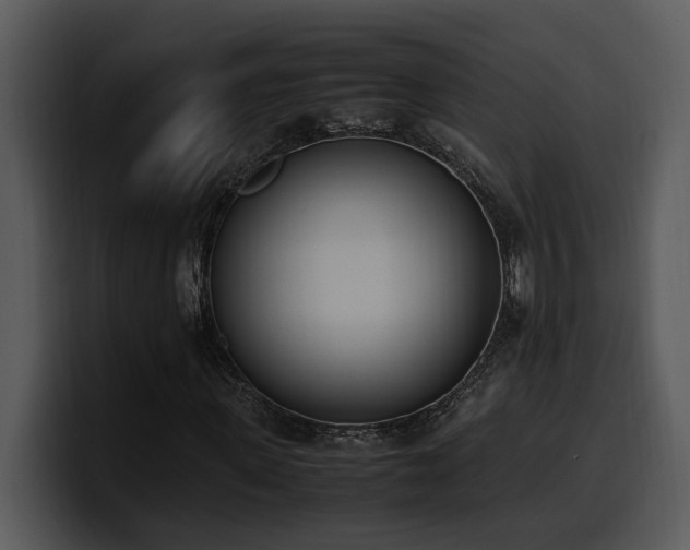 X0000100770915200806191238