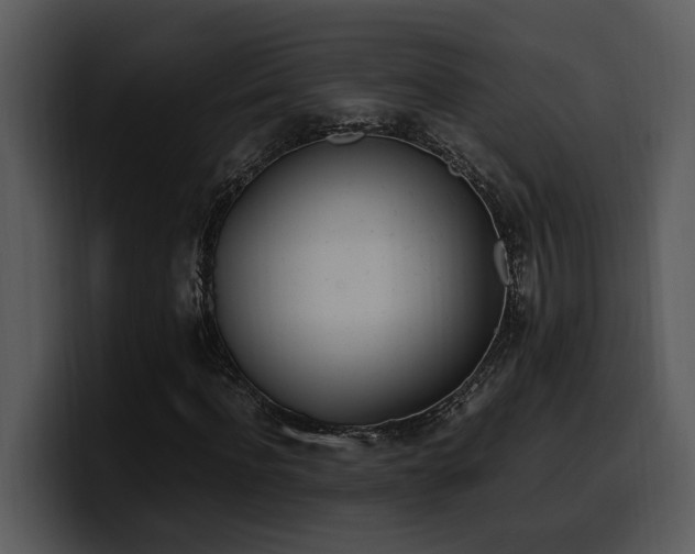 X0000100770916200806191238