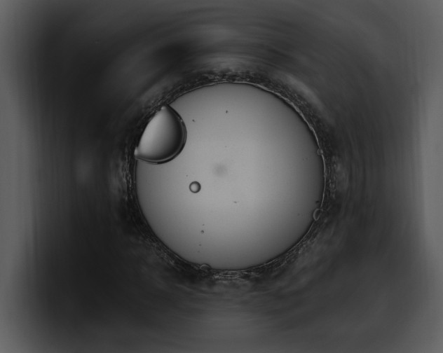 X0000100770918200806191238