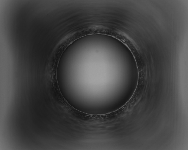 X0000100770919200806191238