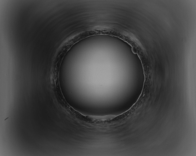 X0000100770920200806191238