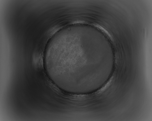X0000100770921200806191238