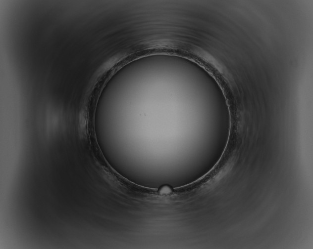 X0000100770922200806191238