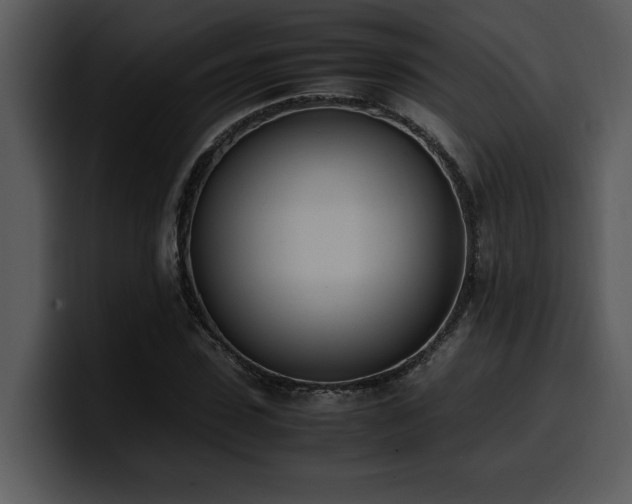 X0000100770923200806191238