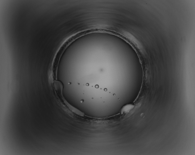 X0000100770924200806191238