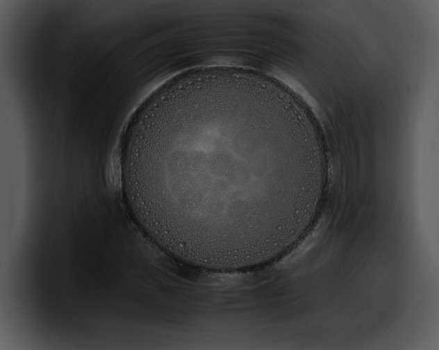 X0000100770925200806191238