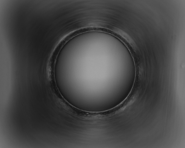 X0000100770926200806191238