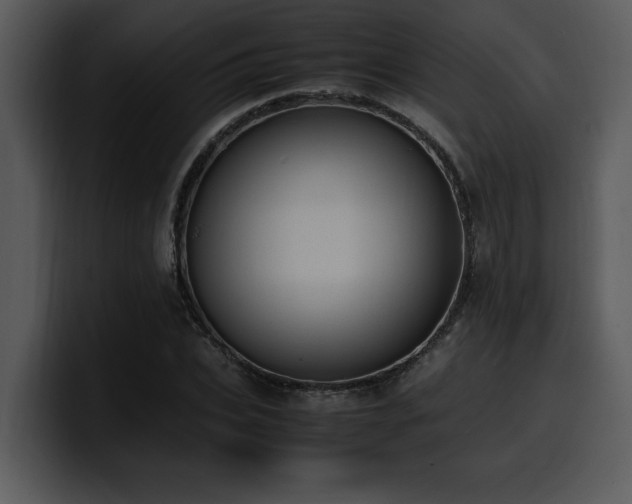 X0000100770927200806191238