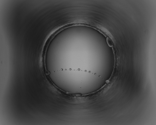 X0000100770928200806191238