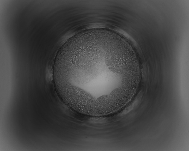 X0000100770929200806191238