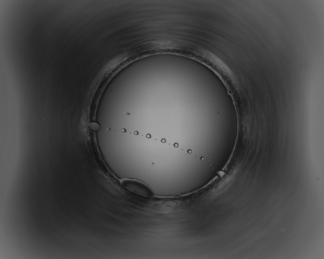 X0000100770930200806191238