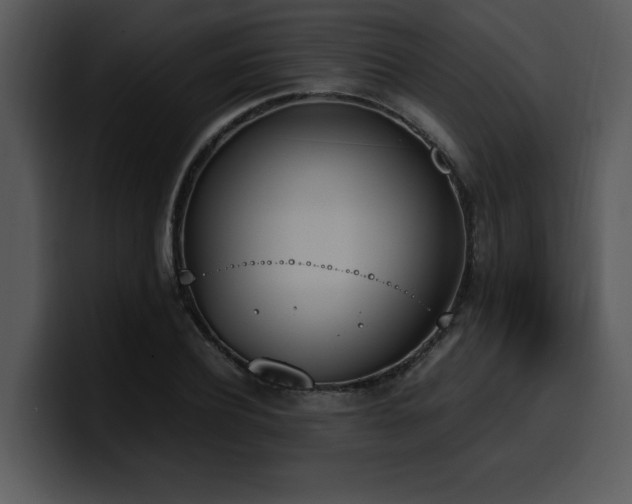 X0000100770932200806191238