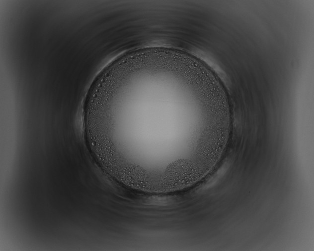 X0000100770933200806191238