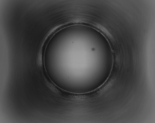 X0000100770934200806191238