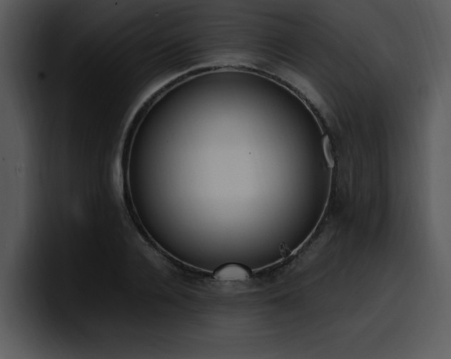 X0000100770936200806191238