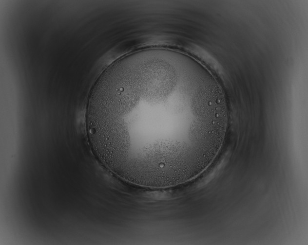 X0000100770937200806191238